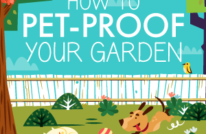 Pet Proofing a Garden