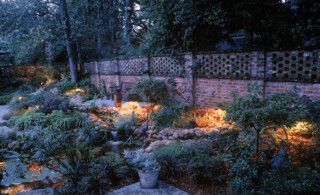 Lit up bushes