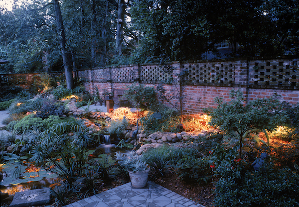 Lit up bushes