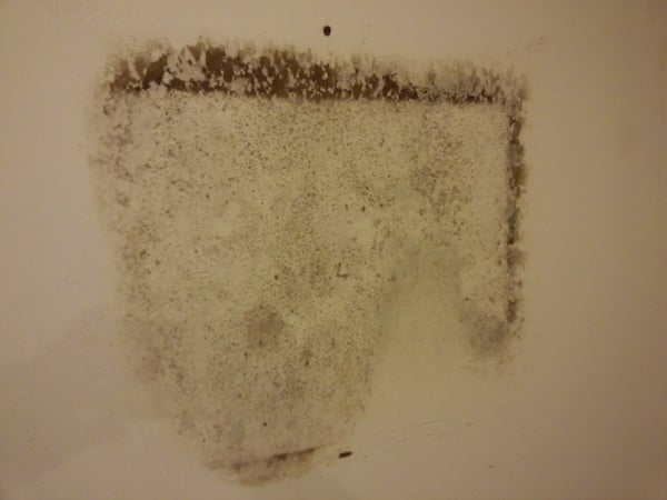 Mold on the wall