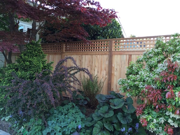 Decorative Vines for Colorado Fences  Residential & Industrial Fencing  Company in Denver, CO