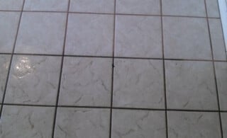 Cleaning grout