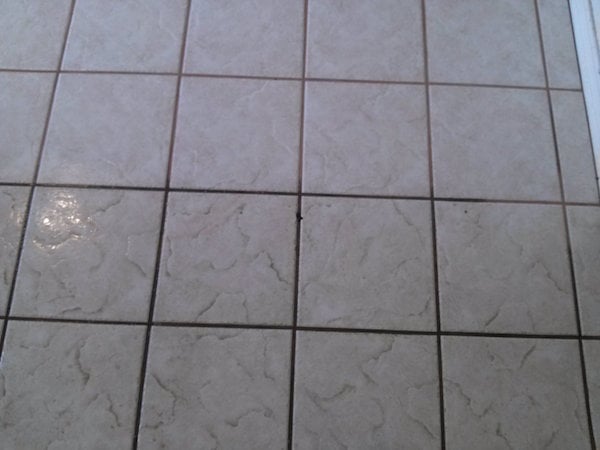 Cleaning grout