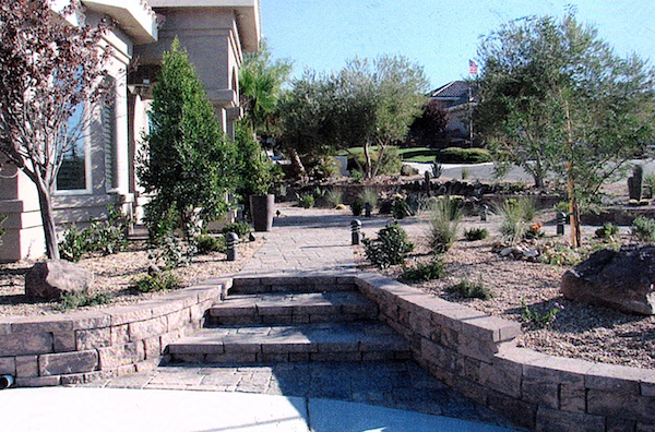 Xeriscaped front yard