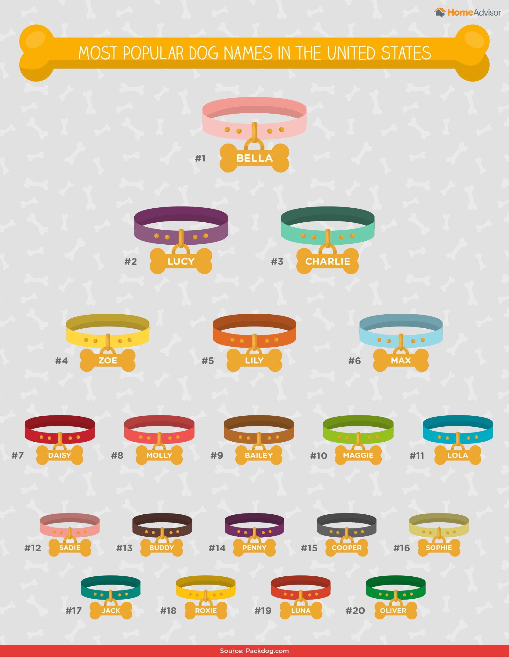The Ultimate List of Popular Dog Names Breeds Infographic by