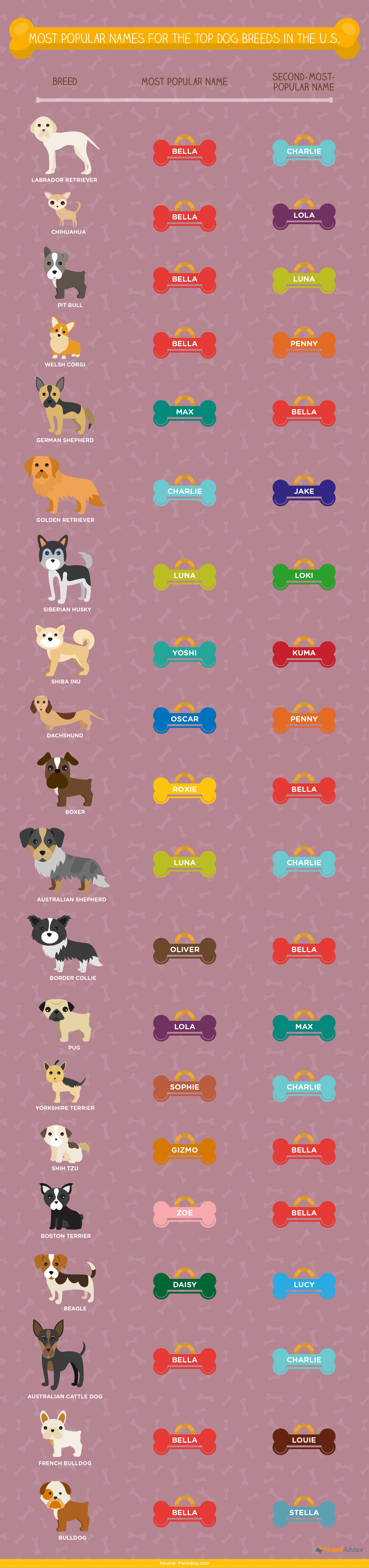 Most popular names by top breeds