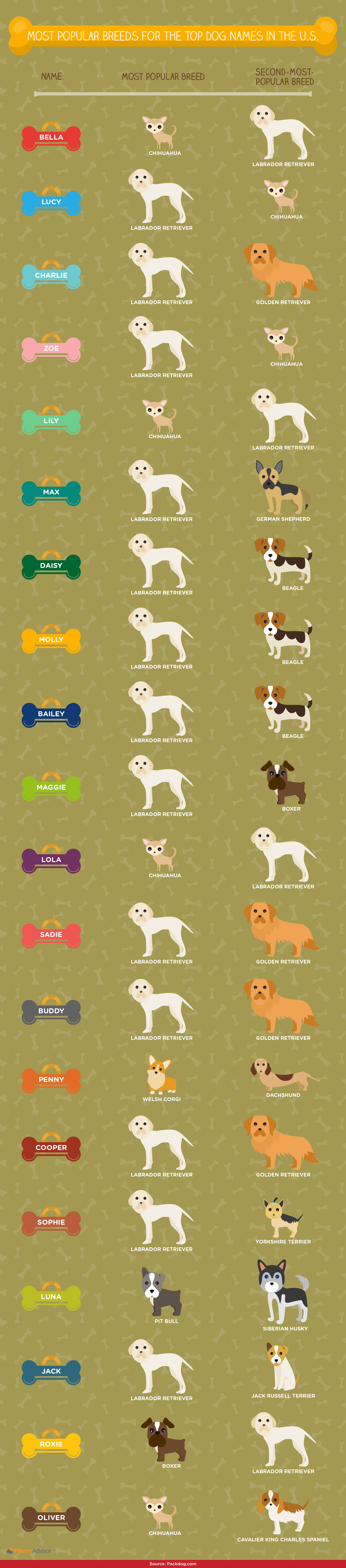 Common names for top dog names