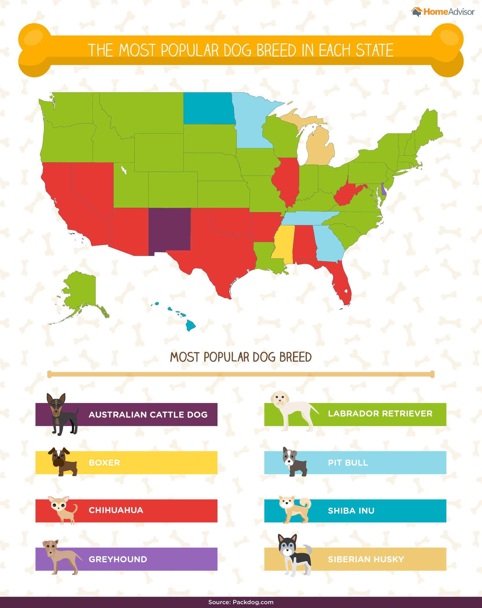 Most popular dog names in each state