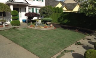 Front yard made of sod