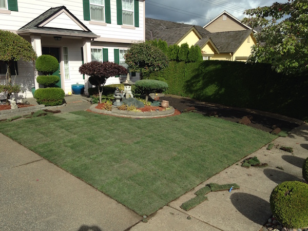 Front yard made of sod