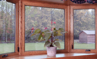 Wood framed windows