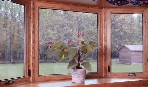 Wood framed windows