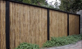 Bamboo fence