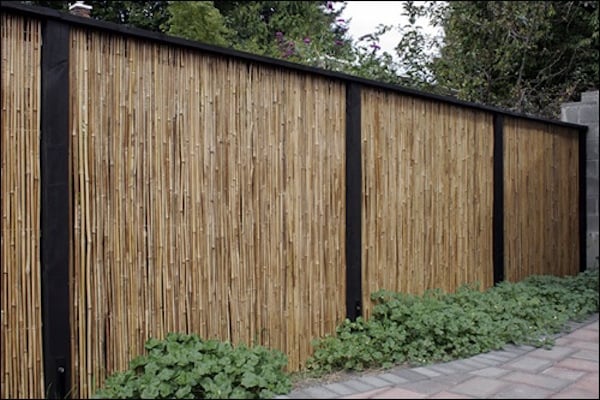 Bamboo fence