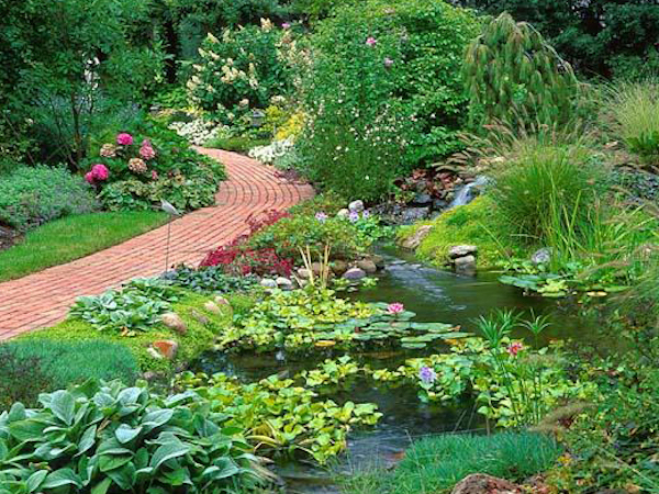 Garden pond