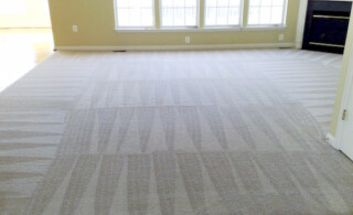 Cleaned carpet