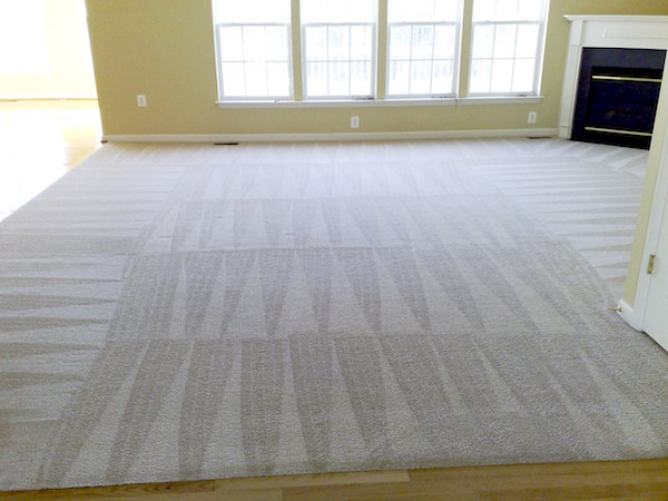 Cleaned carpet