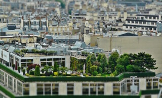 Roof garden in a city