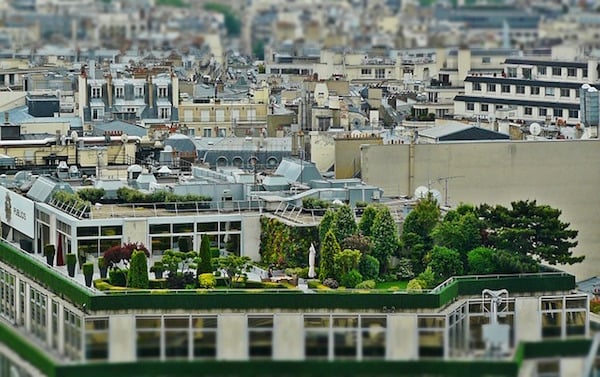 Roof garden in a city