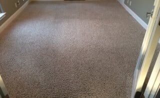 Cleaned carpet