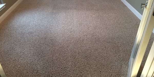 Cleaned carpet