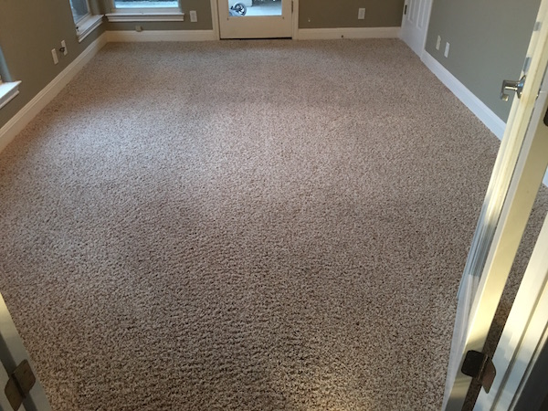 Cleaned carpet