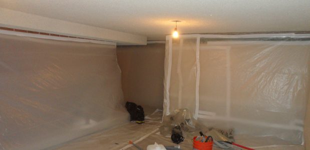 Asbestos Black Mold Removal What Is Involved