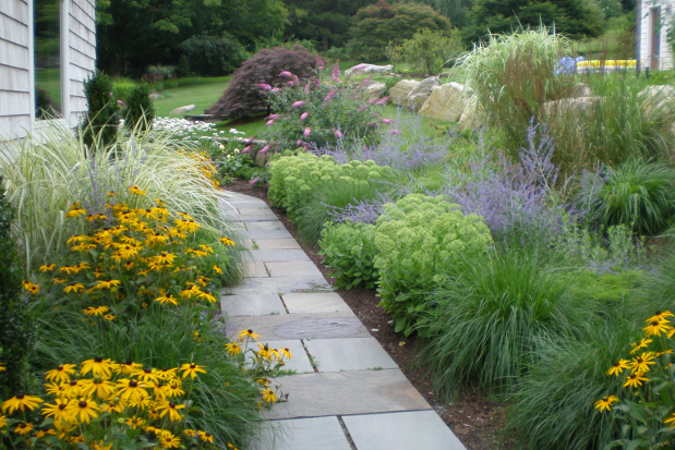 Landscape With Walkway