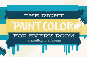 Paint color header