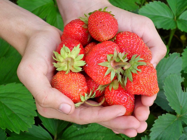 Strawberries in hand