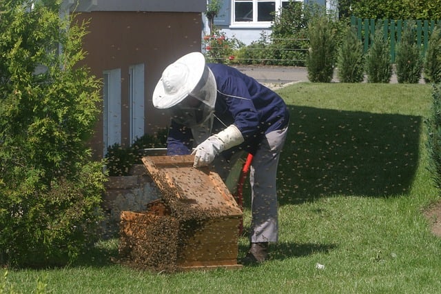 Beekeeper with hive