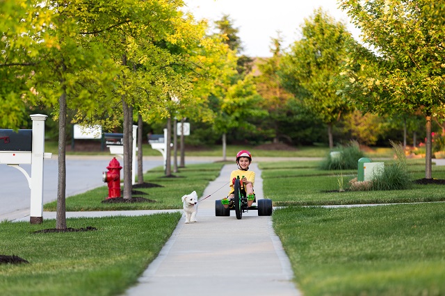 Young boy Walking the Dog with Tricycle in Neighborhood around sunset