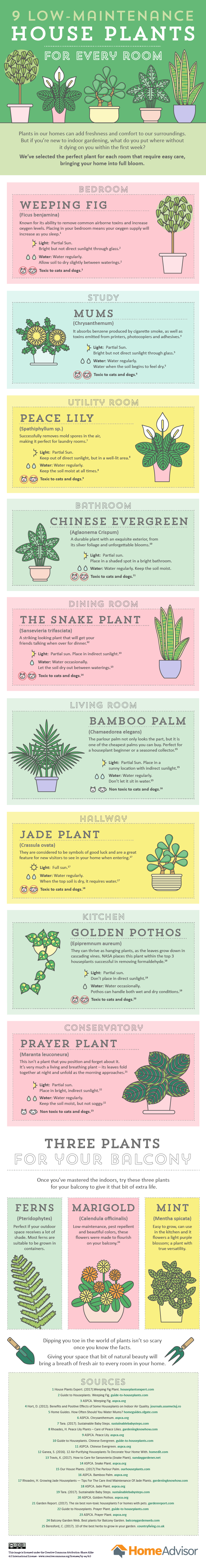 9 Houseplants for Every Room