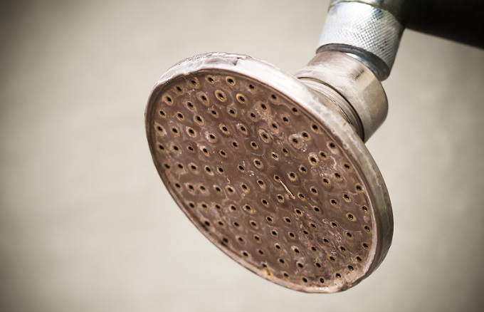 rusty shower head in need or replacment