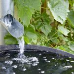 Water pouring into rain barrel