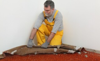 Adult worker removing old carpet in room