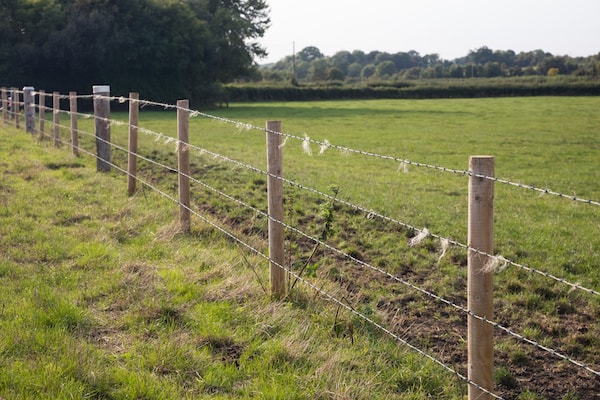 Image result for barbed wire fence