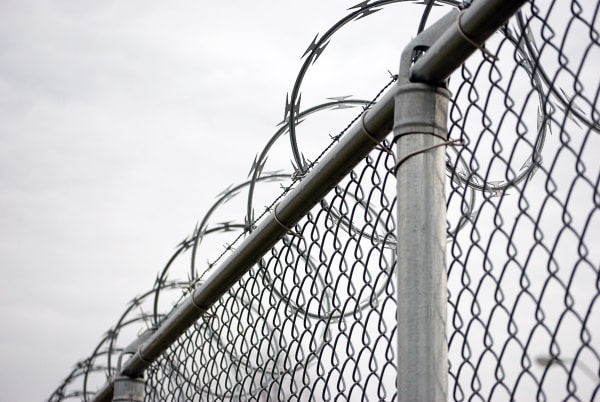 4 Ft H X 50 Ft L 9 Gauge Vinyl Coated Steel Chain Link Fence Fabric In The Chain Link Fence Fabric Department At Lowes Com