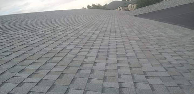 Gray Asphalt Shingle Roof