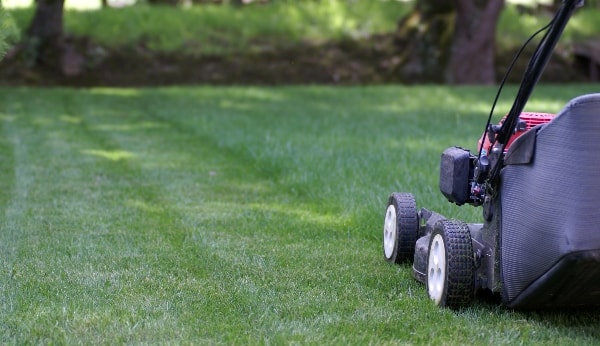 lawnmower running over green grass