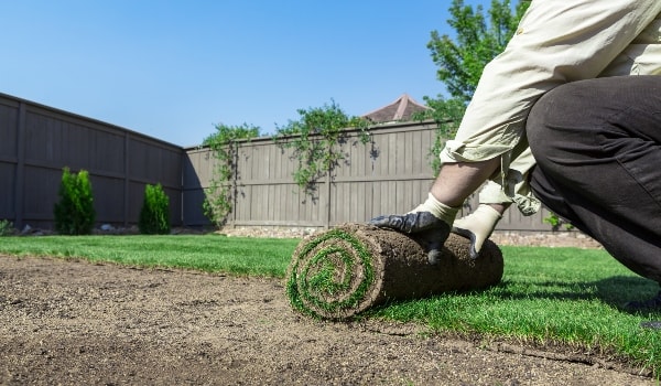 man rolling sod grass roll into dirt