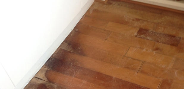 Water Damaged Wood Floor