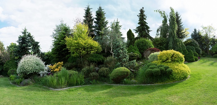 Beautiful spring garden design, with conifer trees, green grass and eneving sun