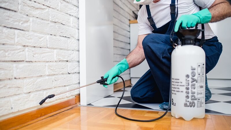 pest control expert at work in a home