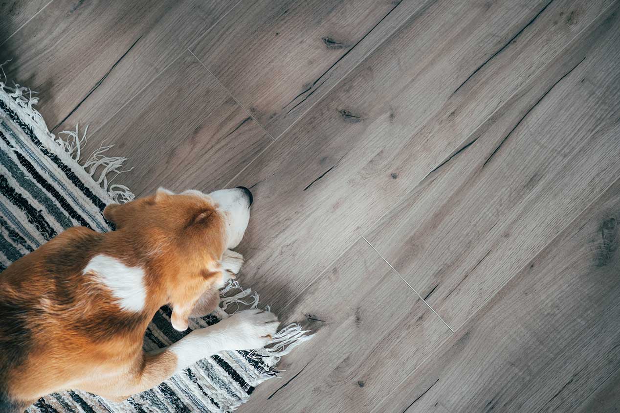 What's the Difference Between Laminate and Vinyl Flooring?