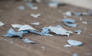 Lead paint chips on old hardwood floor