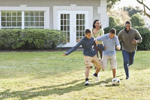 Diy Backyard Soccer Field A Guide To Cost Materials And