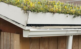 A rooftop garden or "green roof". The container garden is on top of a shed at an elementary school that is teaching the children how a "living roof" absorbs rainwater, provides insulation, and helps to lower urban air temperature within the shed.