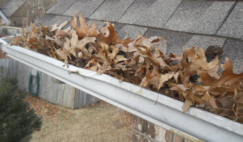Gutter Cleaning Needed