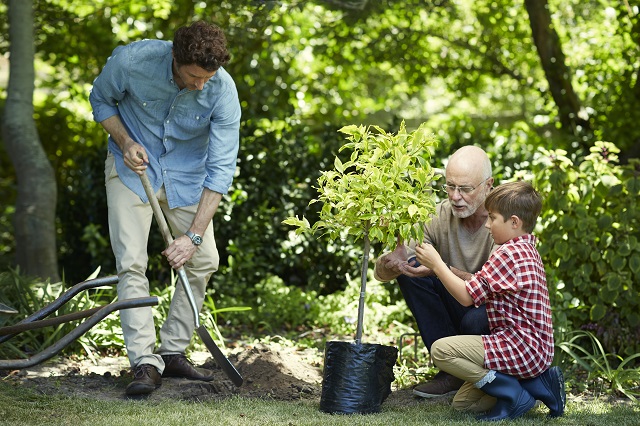 Family gardening in in yard